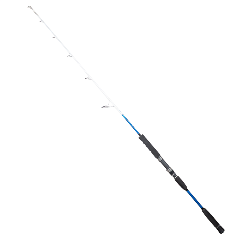 RYUJI BIG GAME FUJI 1.59M MAX 350GR 2P JIG KAMIŞ