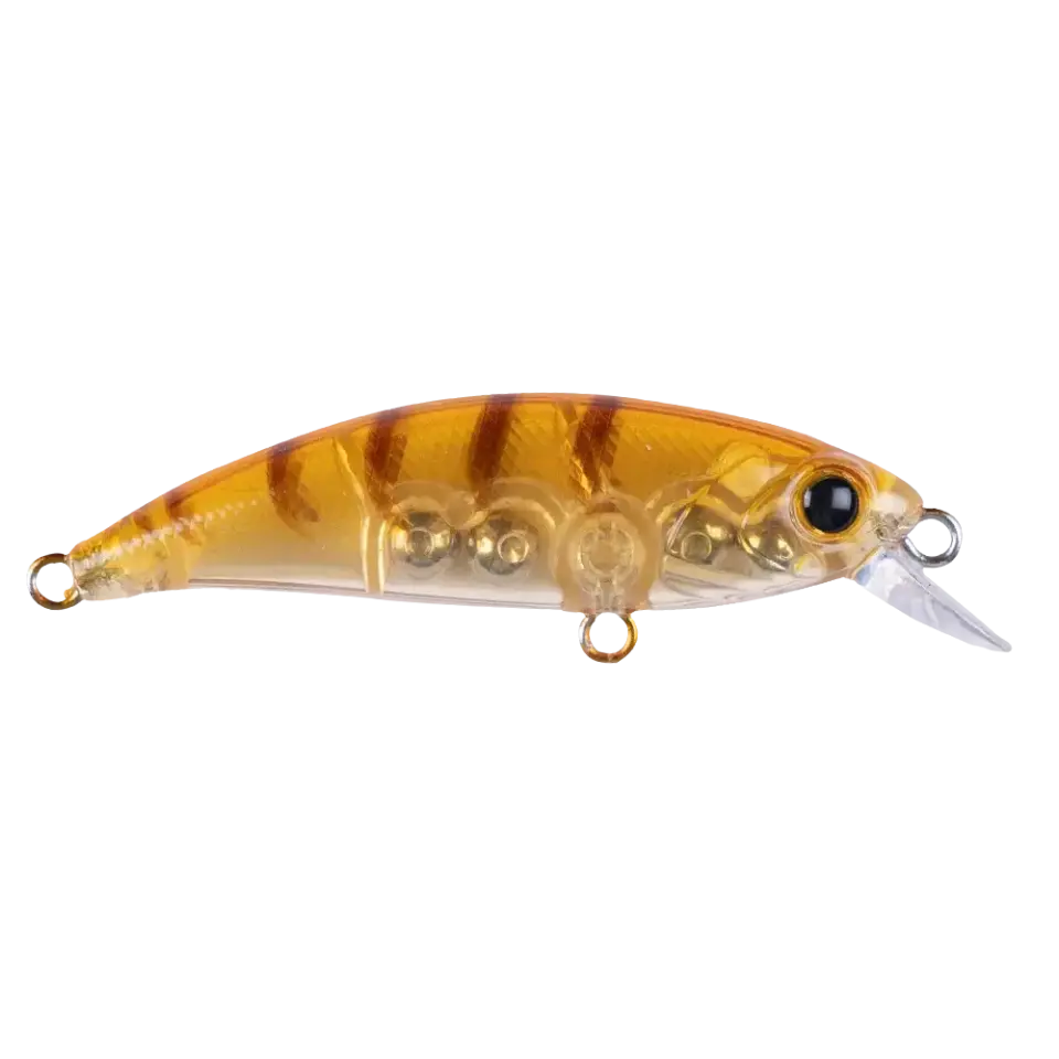 Zıpır K-11 Honey Shrimp